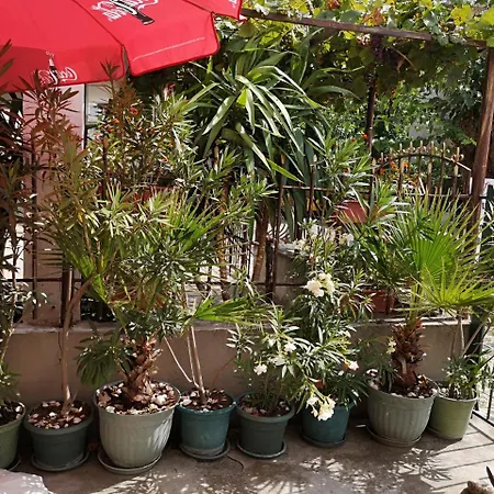 Casa de hóspedes Ropotamo Primorsko