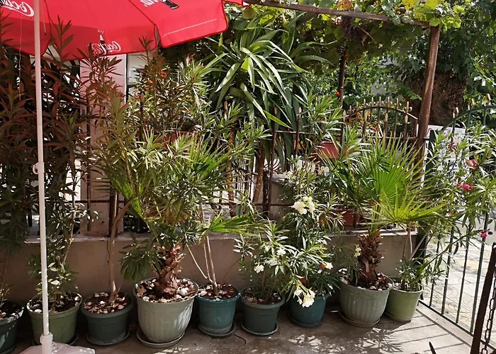 Guest house Ropotamo Primorsko