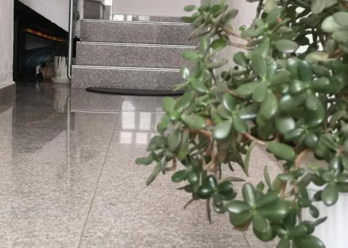 Ropotamo Guest house Primorsko